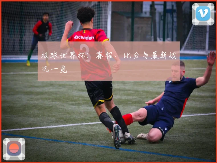 板球世界杯：赛程、比分与最新战况一览